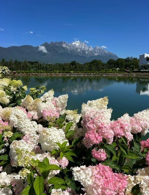 💐听花谷｜霍比特童话庄园｜雪山下花海童话世界🏡