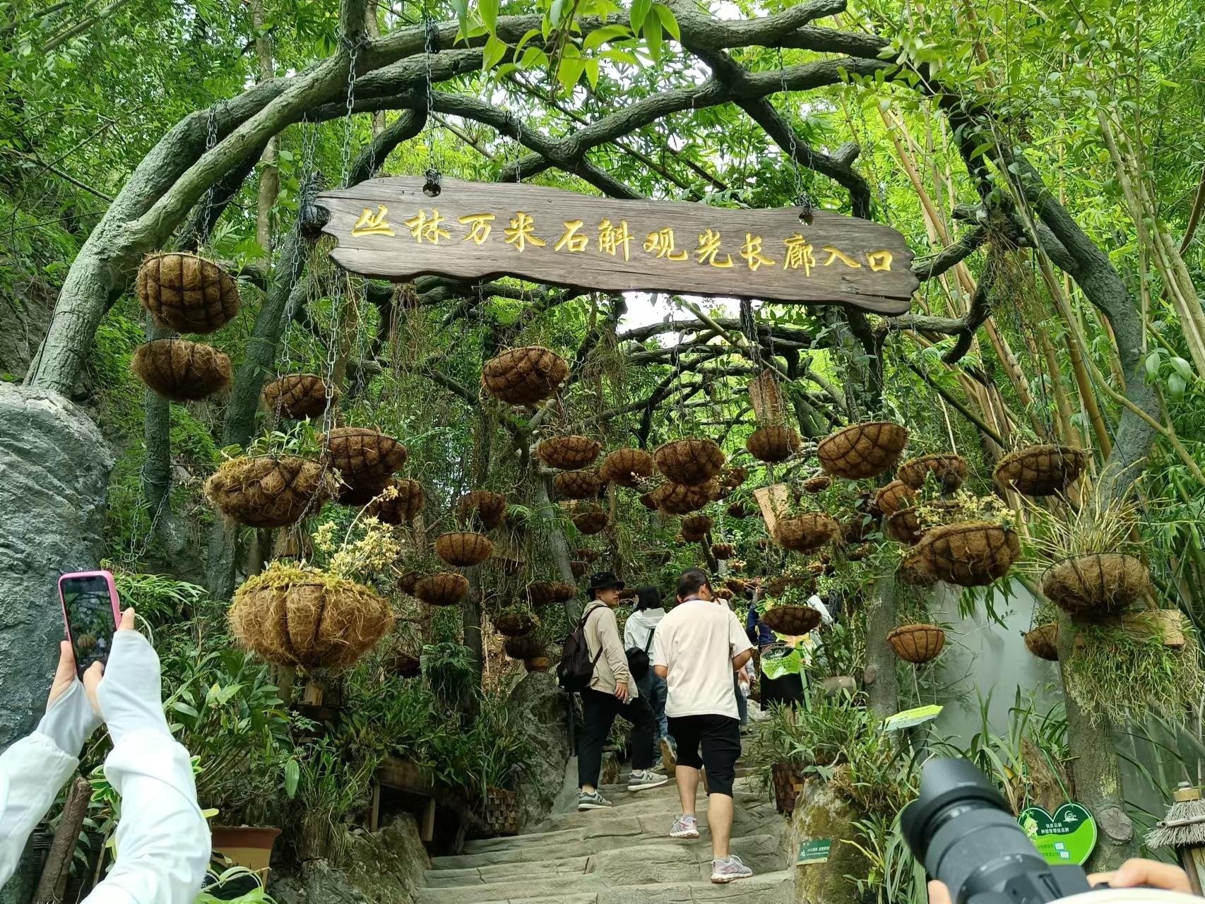 🏯六郎城・秘境古村 + 仙草秘境✨千年古村 + 生态康养