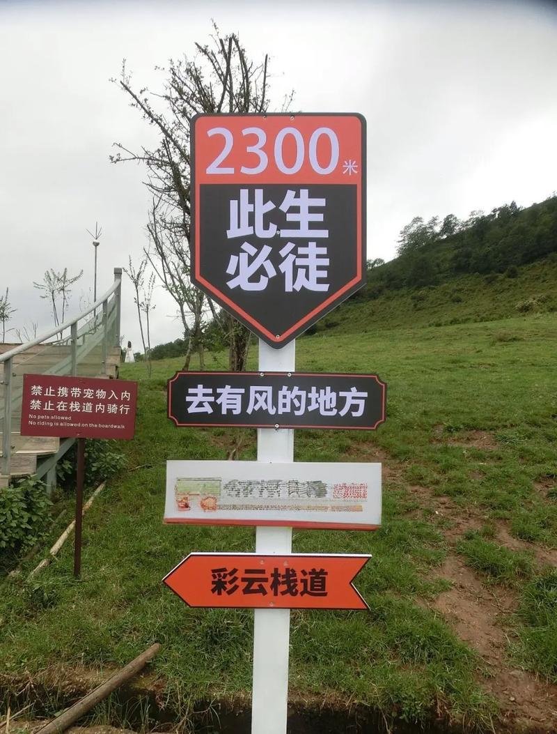 🐴腾冲东山草原｜高山牧场秘境｜城郊免费露营草坪☁️