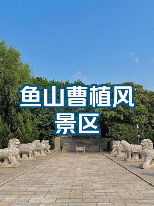 ⛰️鱼山（东阿）｜曹植文化名山✨平缓山林人文轻徒步