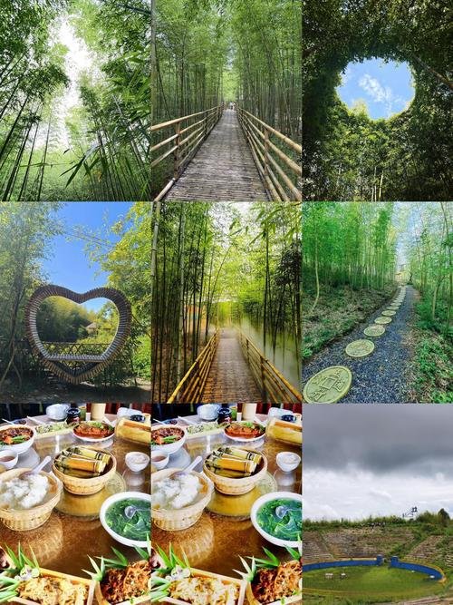 🌿玉溪大密罗竹海｜小众竹海秘境｜竹林徒步 + 清凉避暑