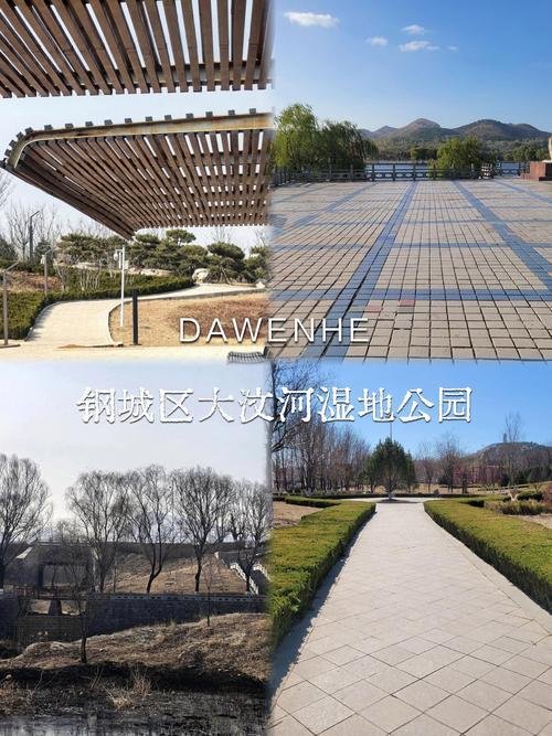 大汶河湿地公园（长清段）｜近郊原生河滨湿地✨候鸟静谧秘境