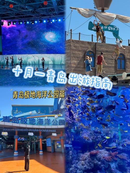 🐧青岛极地海洋公园｜极地动物 + 白鲸表演✨治愈系海洋之旅