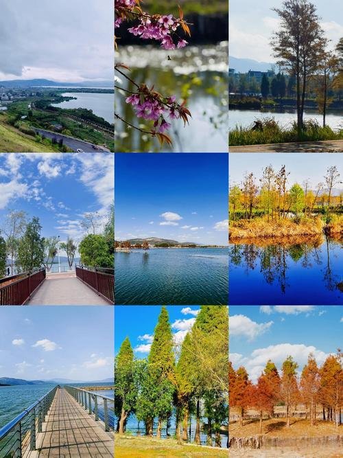 🌊江川星云湖｜高原明珠 + 鱼米之乡✨湖光山色 + 生态湿地