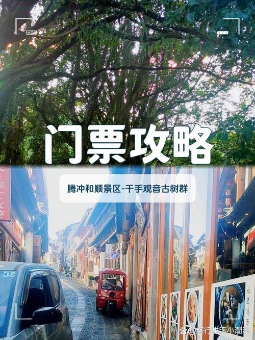 🌳和顺千手观音古树群｜古镇千年古樟秘境｜七树相连天然奇观🌲