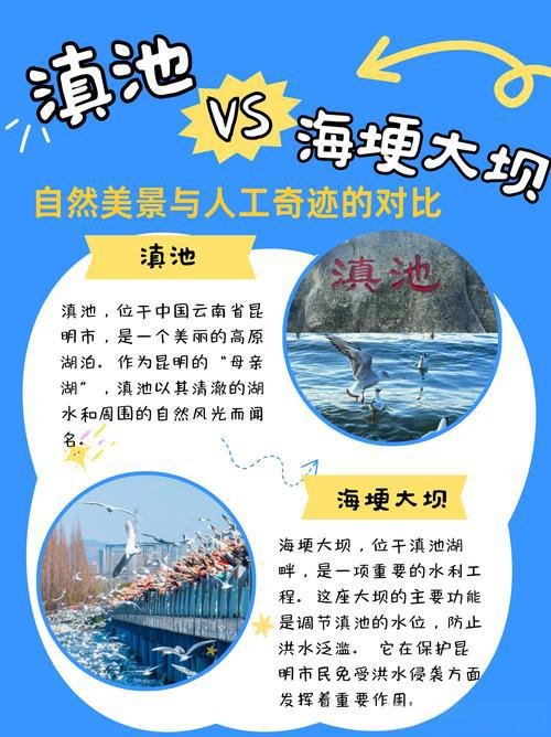 海埂大坝🌊｜滇池王牌观鸥观景地