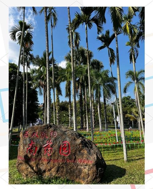 🌴南药园｜傣医药秘境 + 天然氧吧✨养生治愈之旅