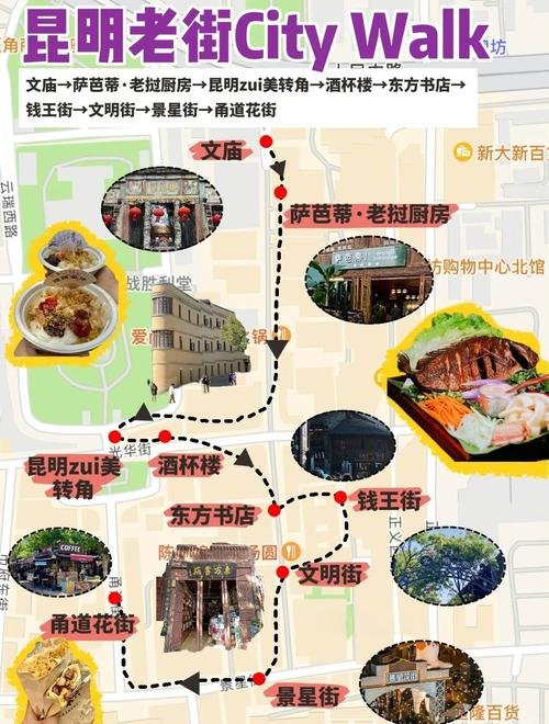 🦑 老城烟火小炒夜间街巷｜葱爆笔管鱼滇式快炒下饭聚集地