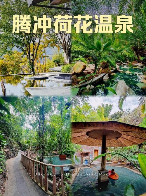 🎪腾冲荷花温泉｜森林私汤度假区｜林间露天温泉♨️