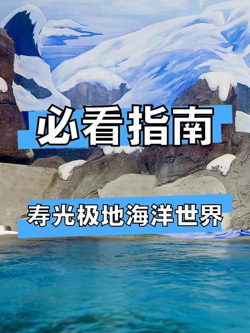 🌊寿光极地海洋世界｜海洋治愈之旅✨海底隧道 + 萌宠互动