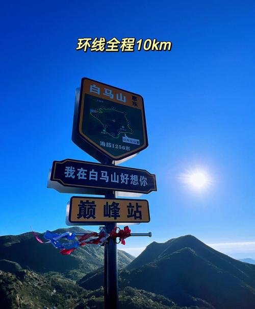 🌳景谷白马山森林步道｜天然氧吧✨徒步 + 云海 + 森林秘境