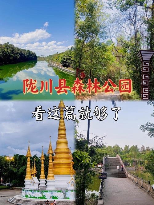 🌳陇川森林公园 + 地方头水库｜城郊天然秘境｜近郊吸氧漫步🌿