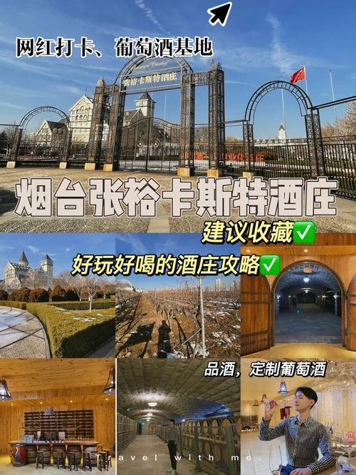 🍷张裕卡斯特酒庄｜烟台葡萄酒名片✨法式庄园 + 品酒体验
