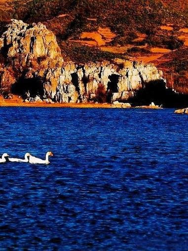 🌿海峰湿地・滇北小桂林✨高原湿地 + 露营野炊 + 候鸟天堂