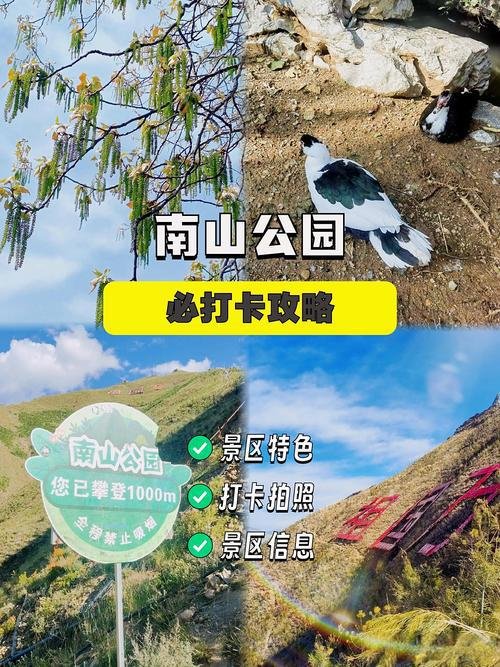 🌸南山公园｜烟台老牌公园✨湖光山色 + 亲子游乐