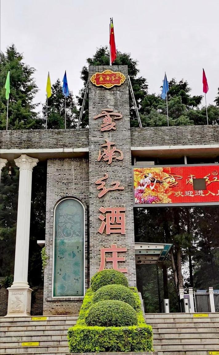 🍇建水曲江葡萄庄园・田园采摘乐园✨葡萄采摘 + 乡村休闲
