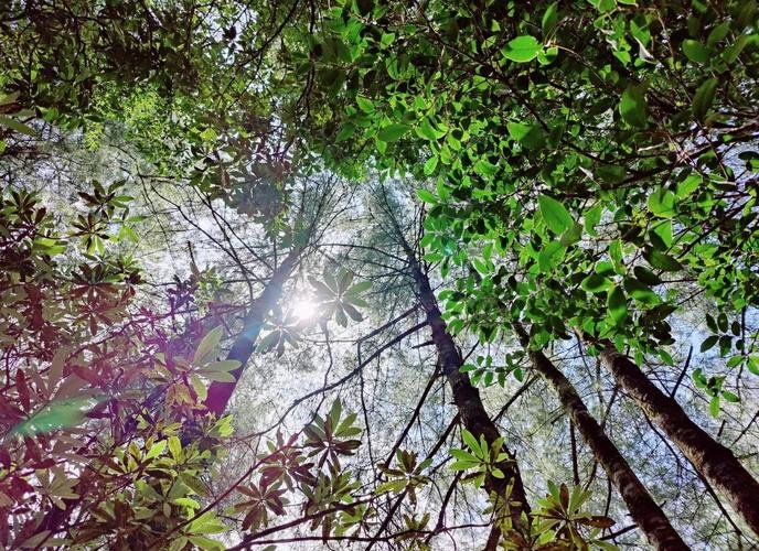 ⛰️昌宁天堂山森林公园｜滇西高山秘境｜杜鹃花海 + 高山湖泊🏞️