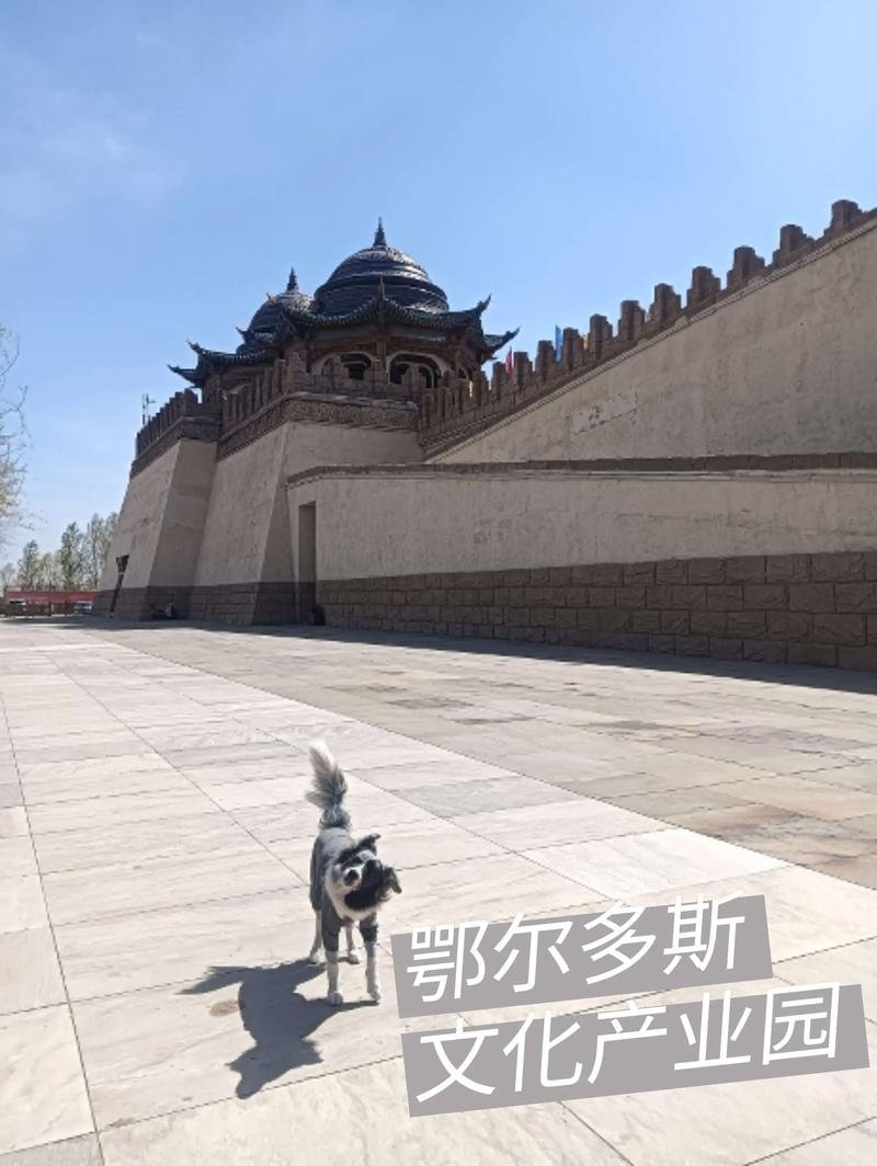 🏯鄂尔多斯文化产业园・古风影视基地✨凤鸣九曲 + 马术表演