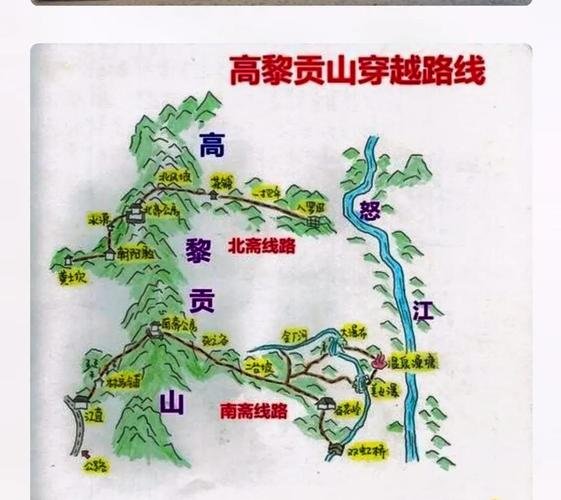 🌺高黎贡山杜鹃谷｜怒江春日王牌赏花地｜跨海拔万亩野生杜鹃🌸