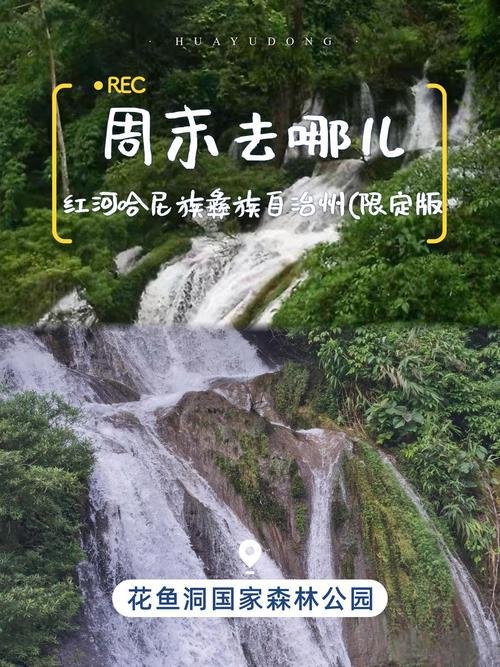 🌴河口花鱼洞国家森林公园・边境雨林✨溶洞瀑布 + 热带风光