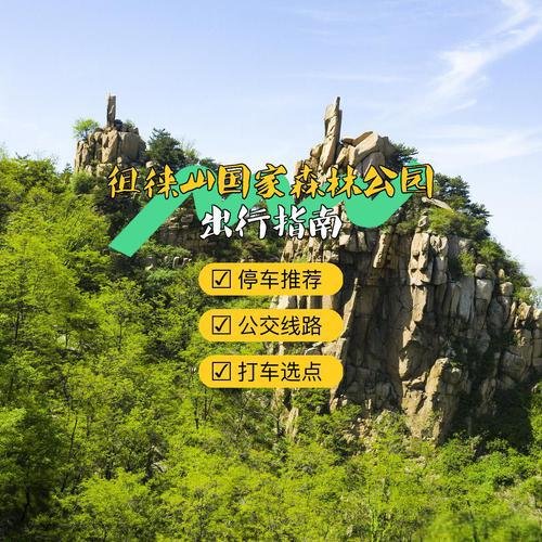 徂徕山国家森林公园｜鲁中天然氧吧✨森林徒步 + 红色记忆
