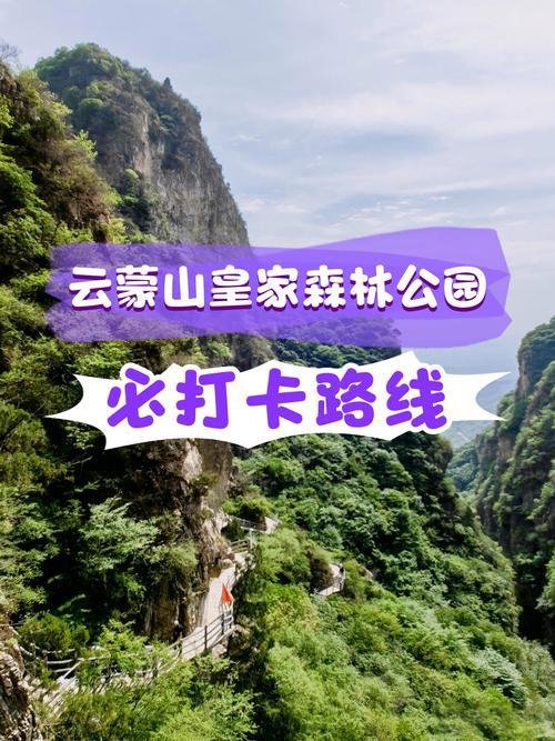 🌳沂蒙山云蒙景区｜5A 天然氧吧✨避暑洗肺 + 森林漂流