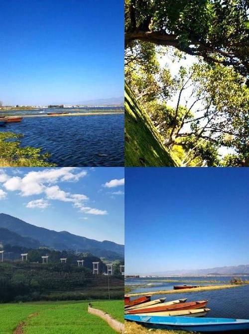 🌿蒙自长桥海湿地公园・原生态湿地✨观鸟骑行 + 田园湖景