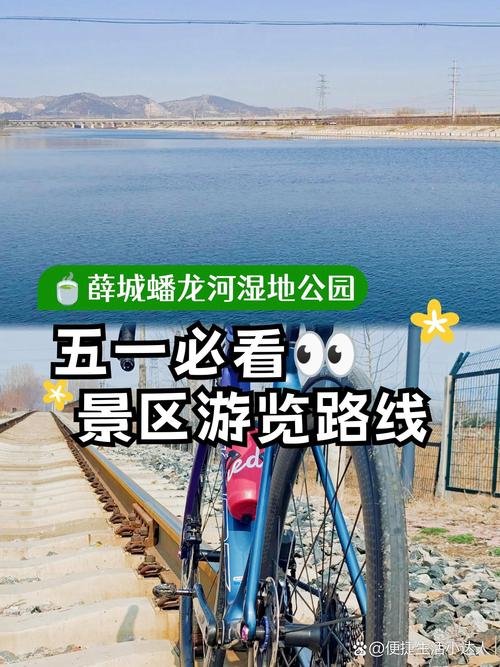🌊蟠龙河湿地公园（薛城段）｜城市滨水绿廊✨沿河骑行 + 四季水景