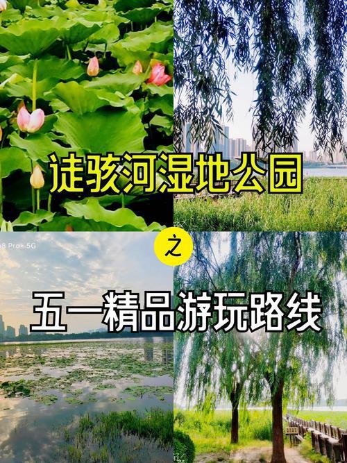 🌊莘县徒骇河湿地公园｜近郊原生河滨秘境✨候鸟静谧休闲