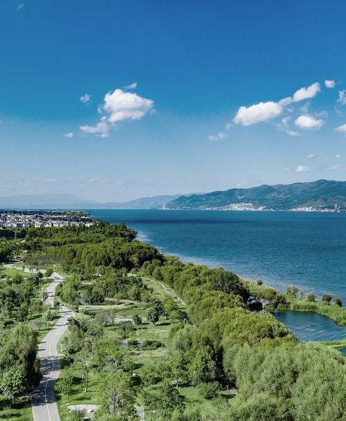 洱海生态廊道（南段）🌿超长环湖生态廊道🚲南段人少景美，骑行一路花海洱海相伴